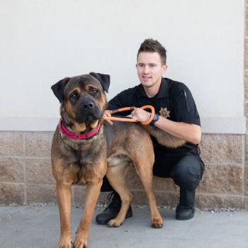 Field Services Officers kneeling down holding a dog.